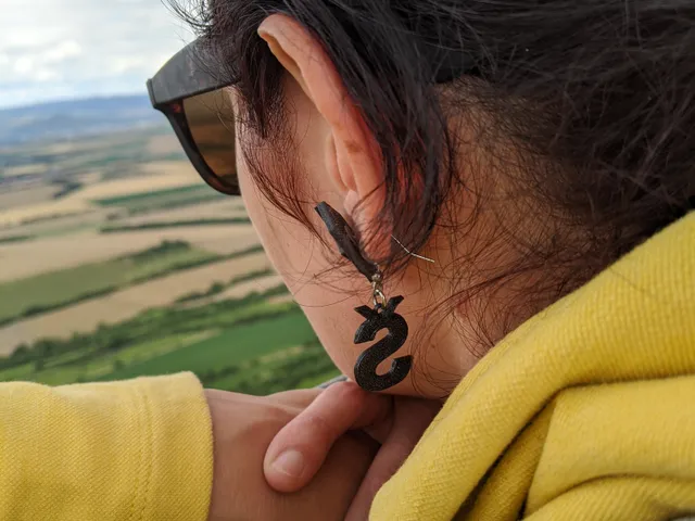 ŠŤ Earrings