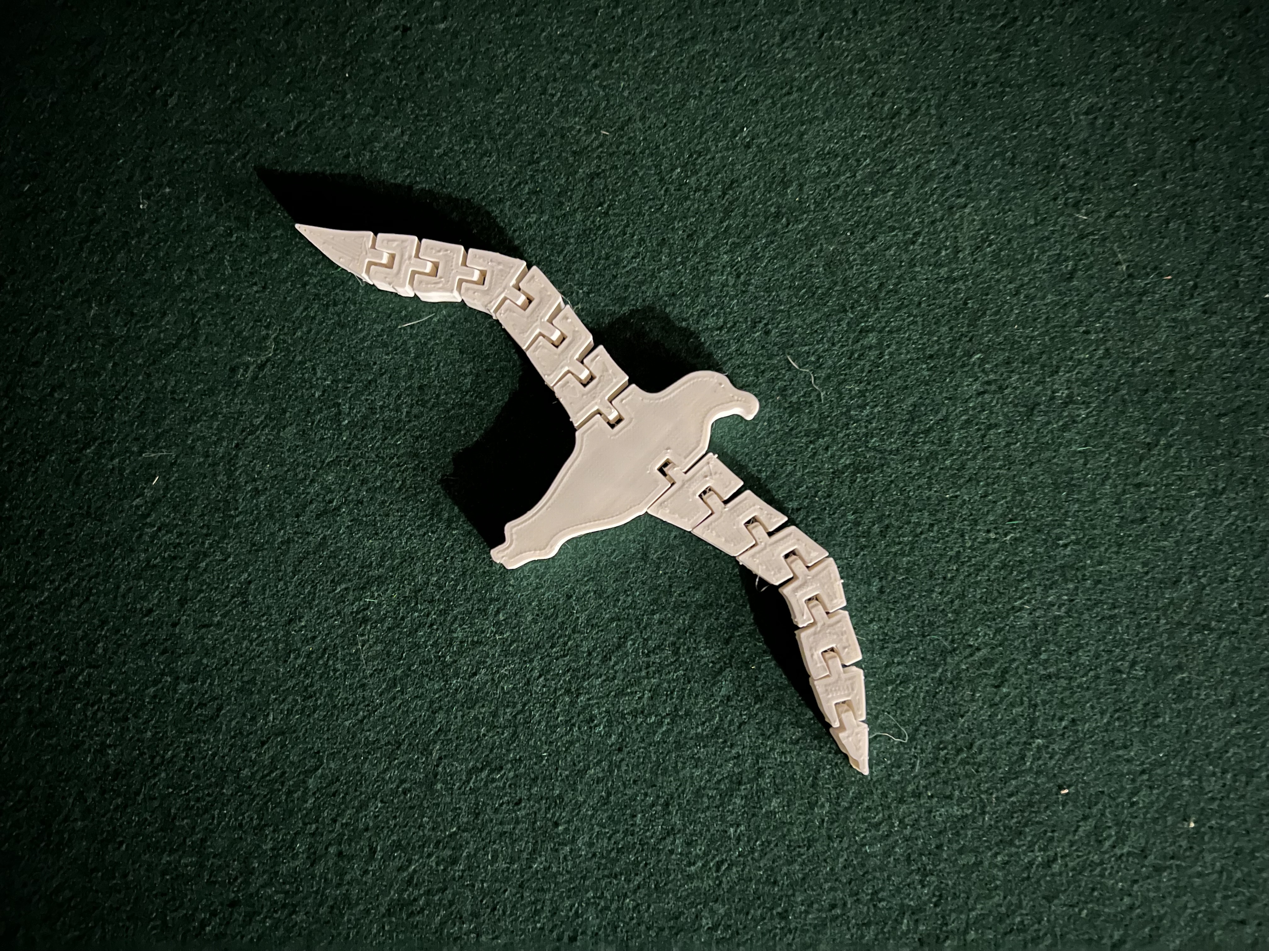 Flexi Albatross