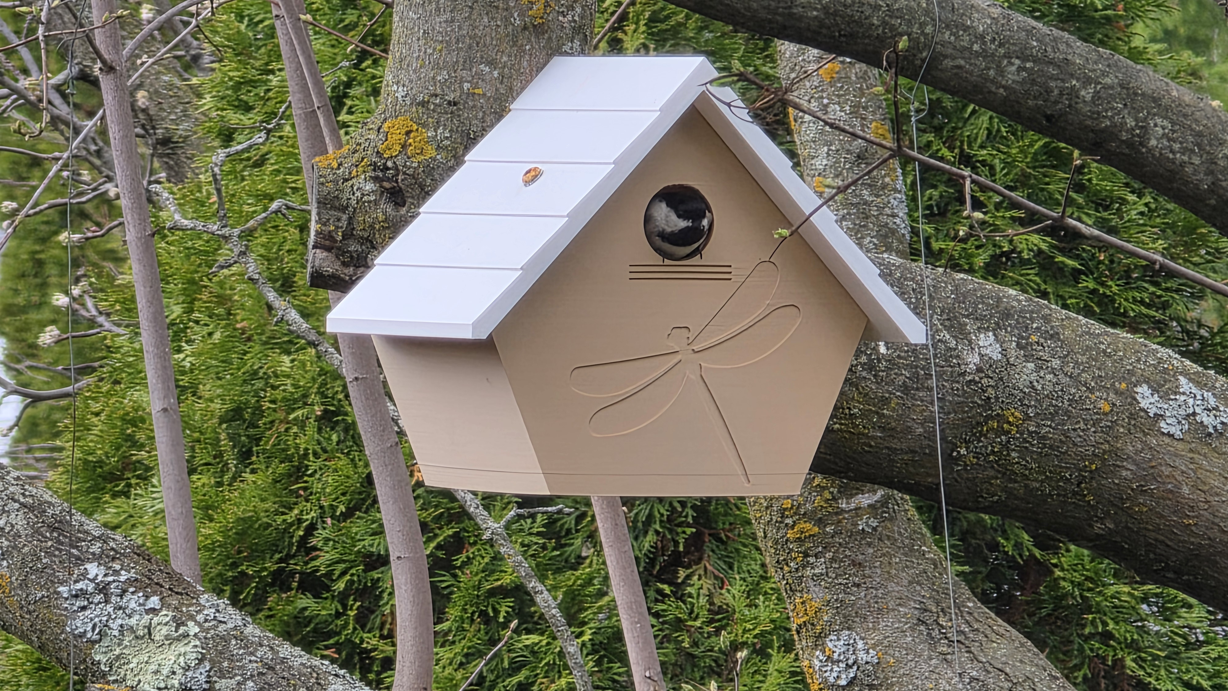 Modified Birdhouse v3.1 — miniatura 4