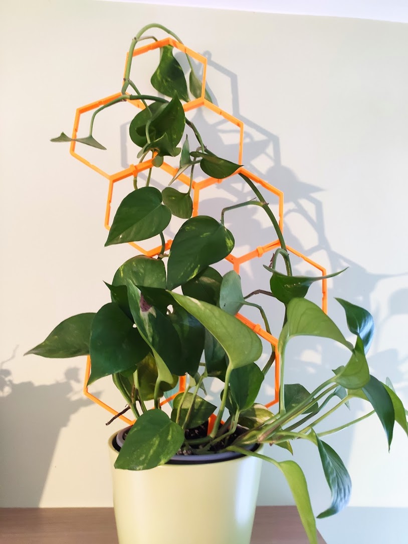 Modular hex plant support / ladder