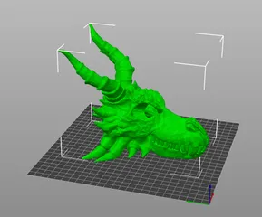 Dragon Skull5
