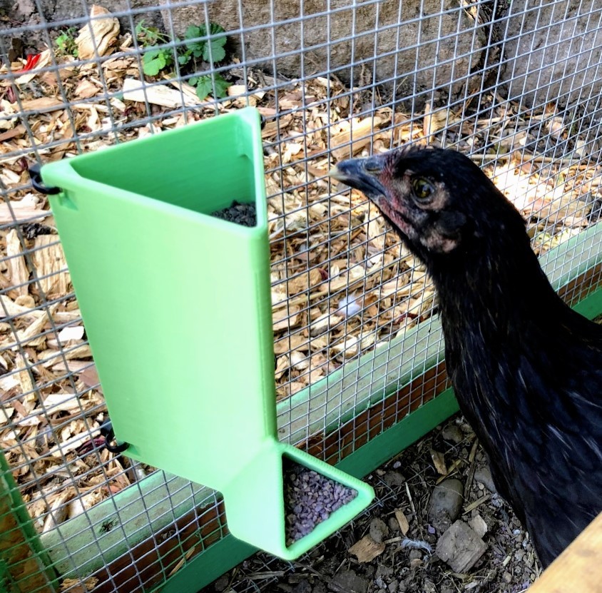 Chicken Grit Feeder