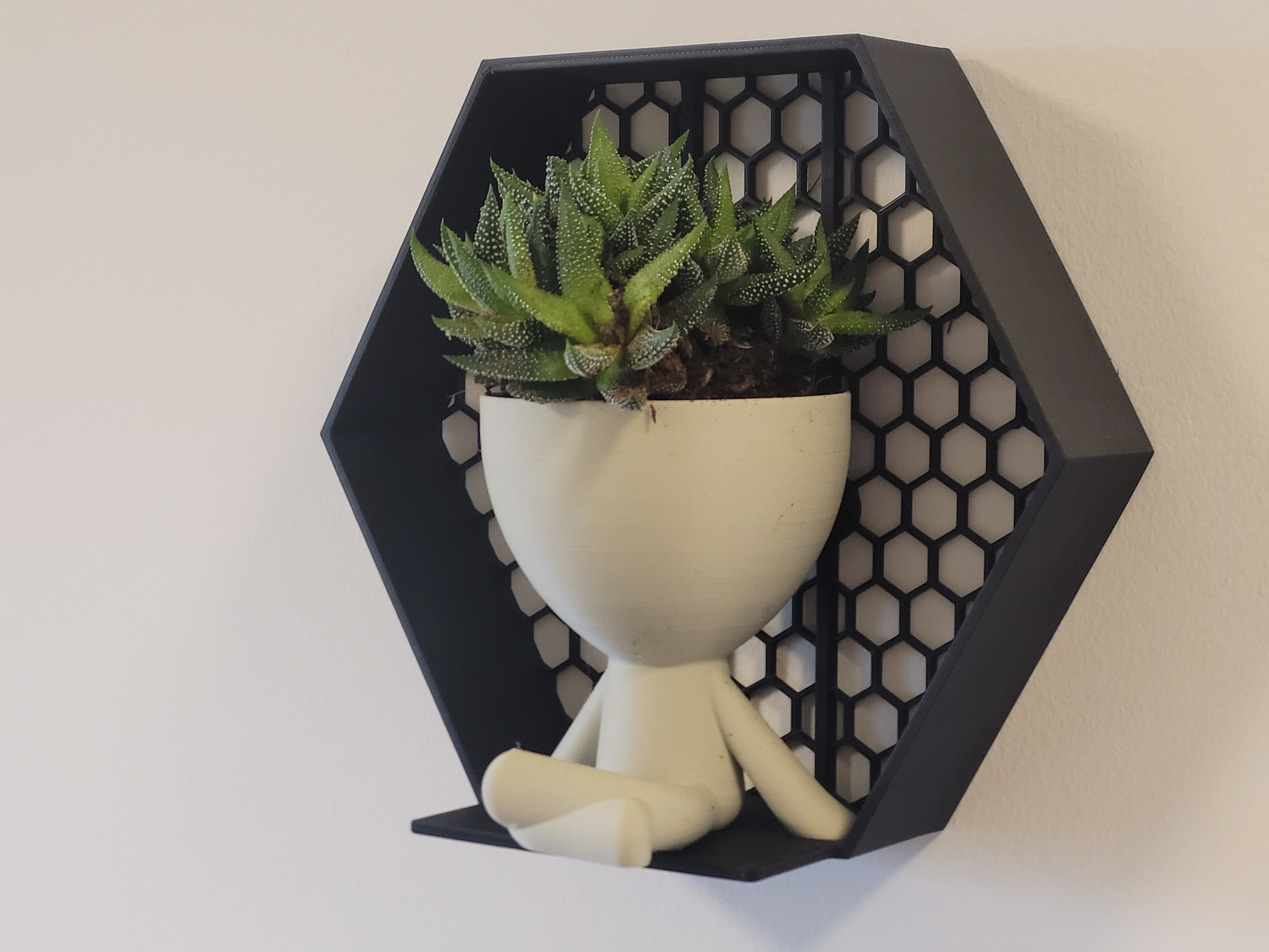 Hexagonal frame for flower pots