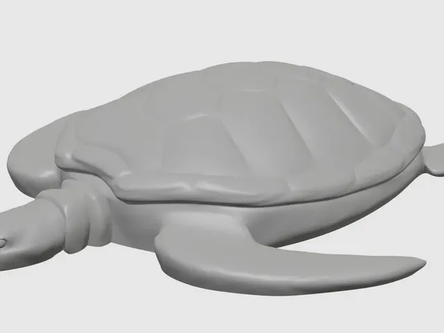 Sea Turtle