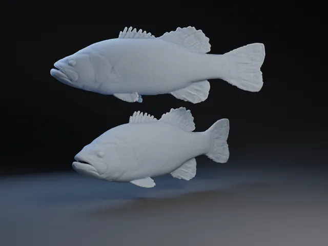 Large Mouth Bass