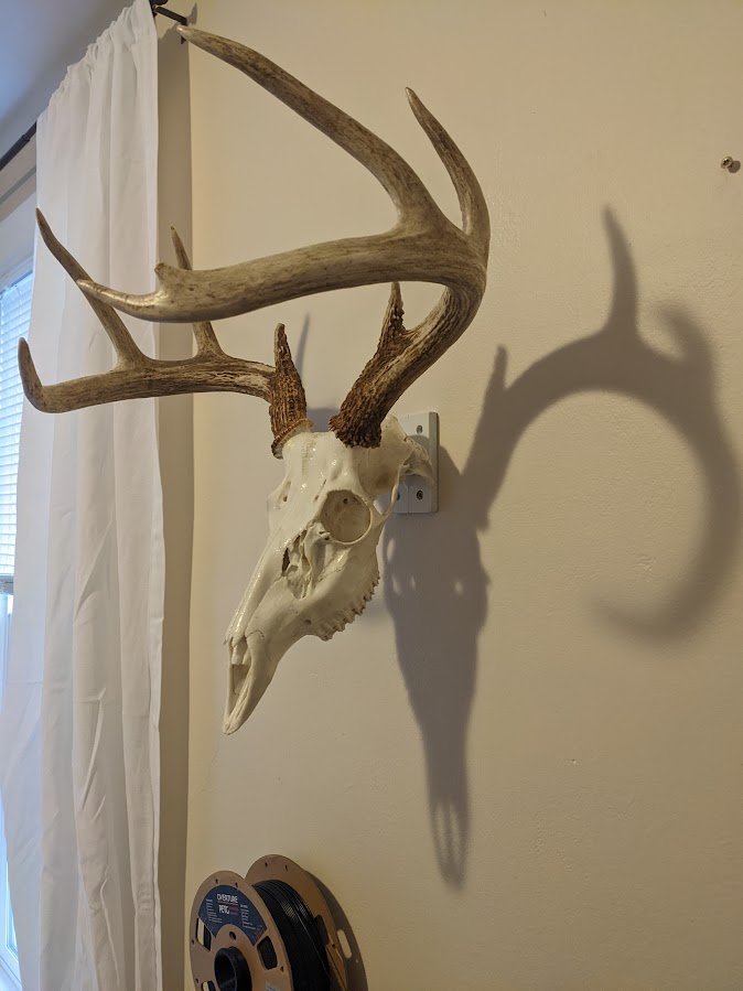 European Deer Skull Mount by t | Download free STL model | Printables.com