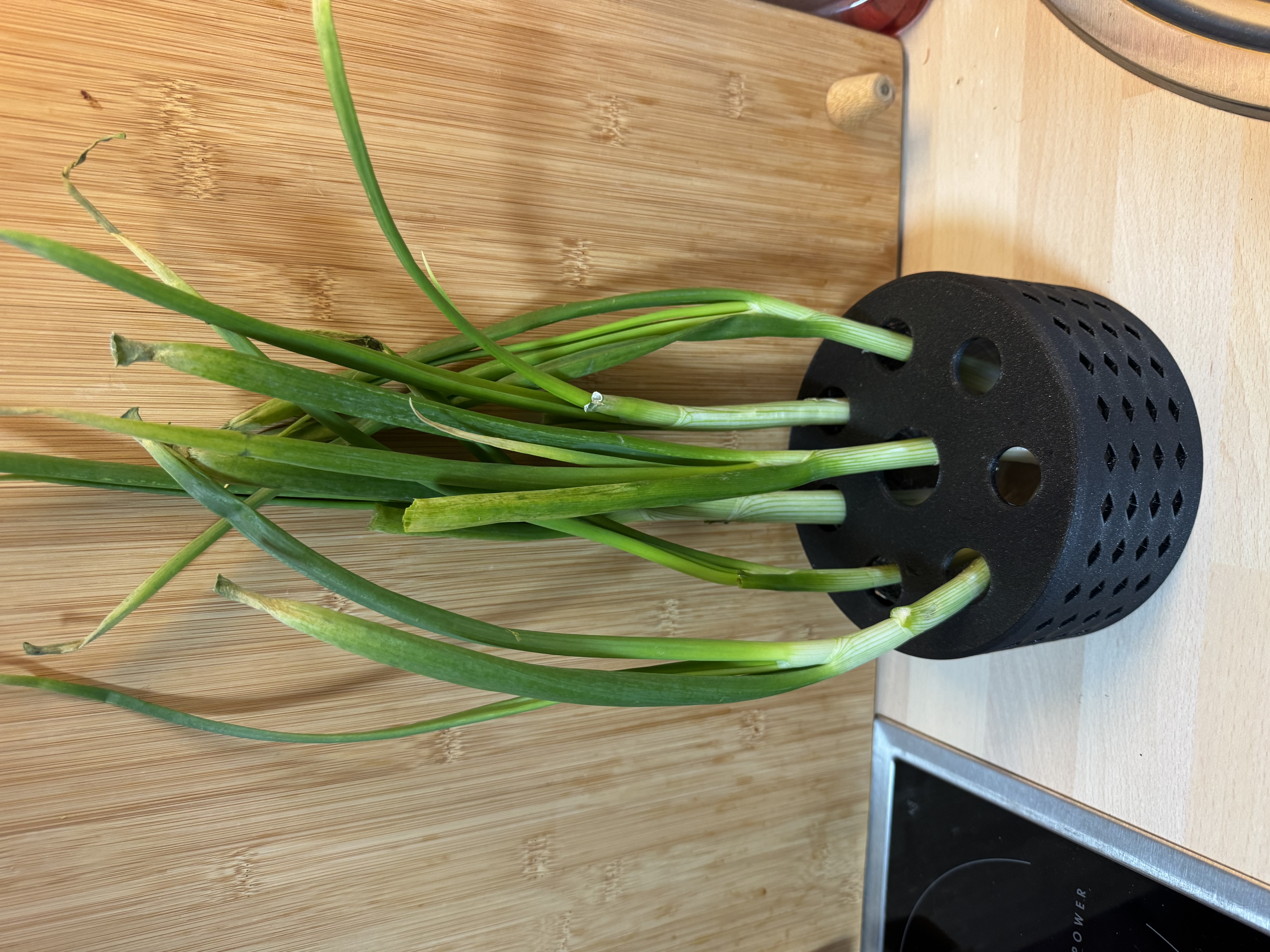 Spring onion irrigation system