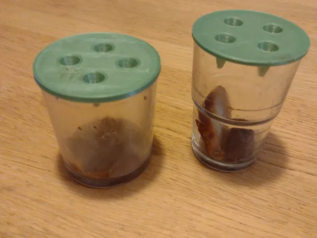 Vliegenval, fly trap.