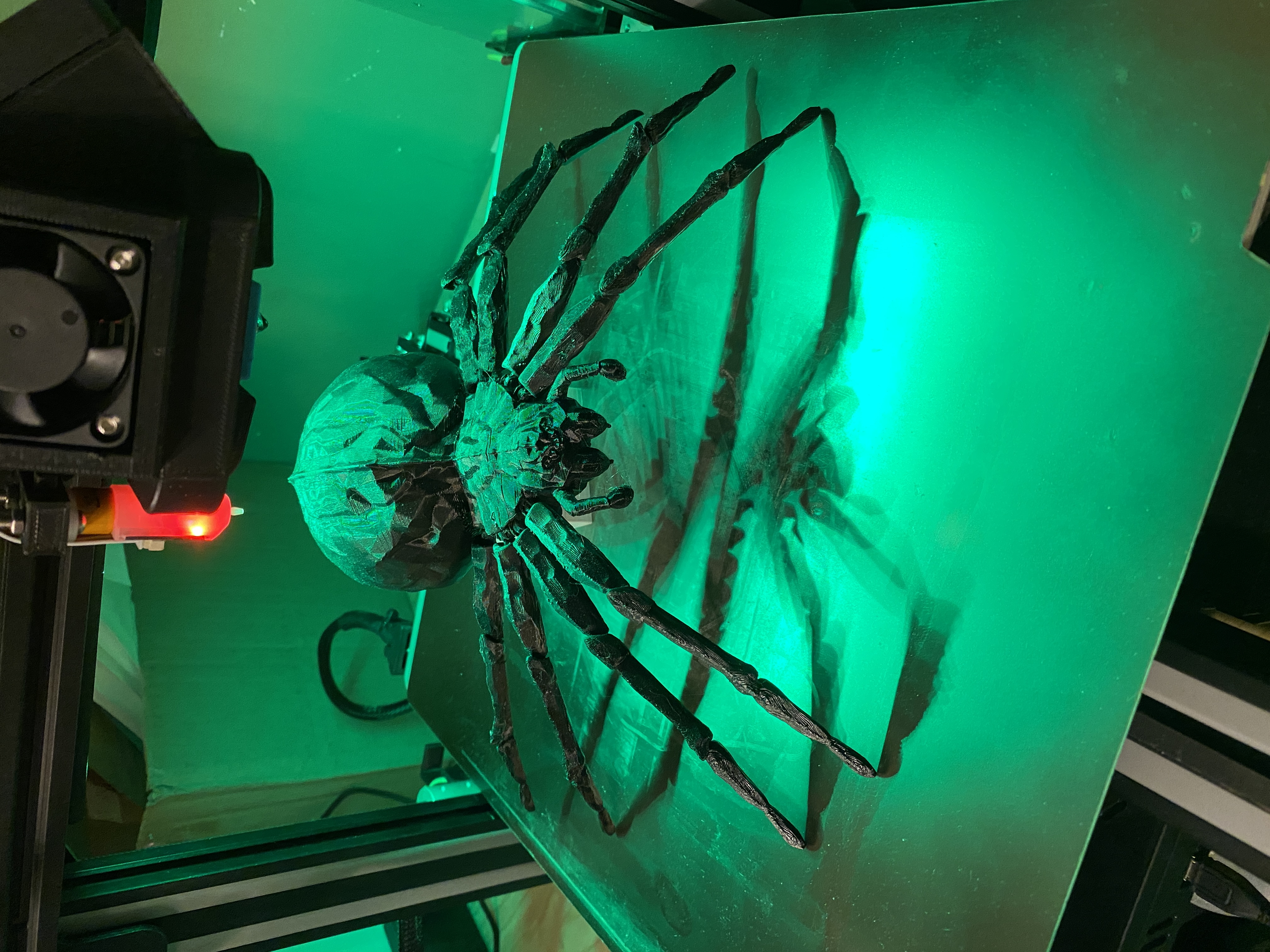 Giant Spider "REMIXED"