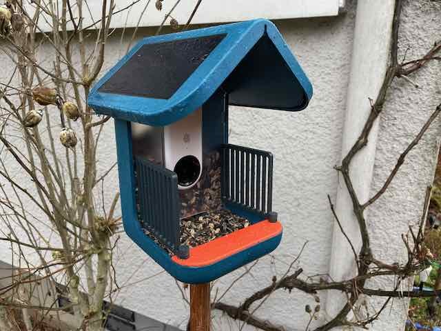 Bird buddy fence