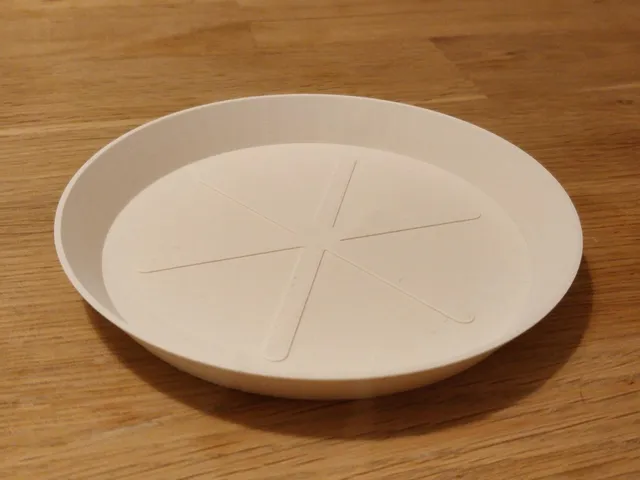 Elegant Plant Saucer