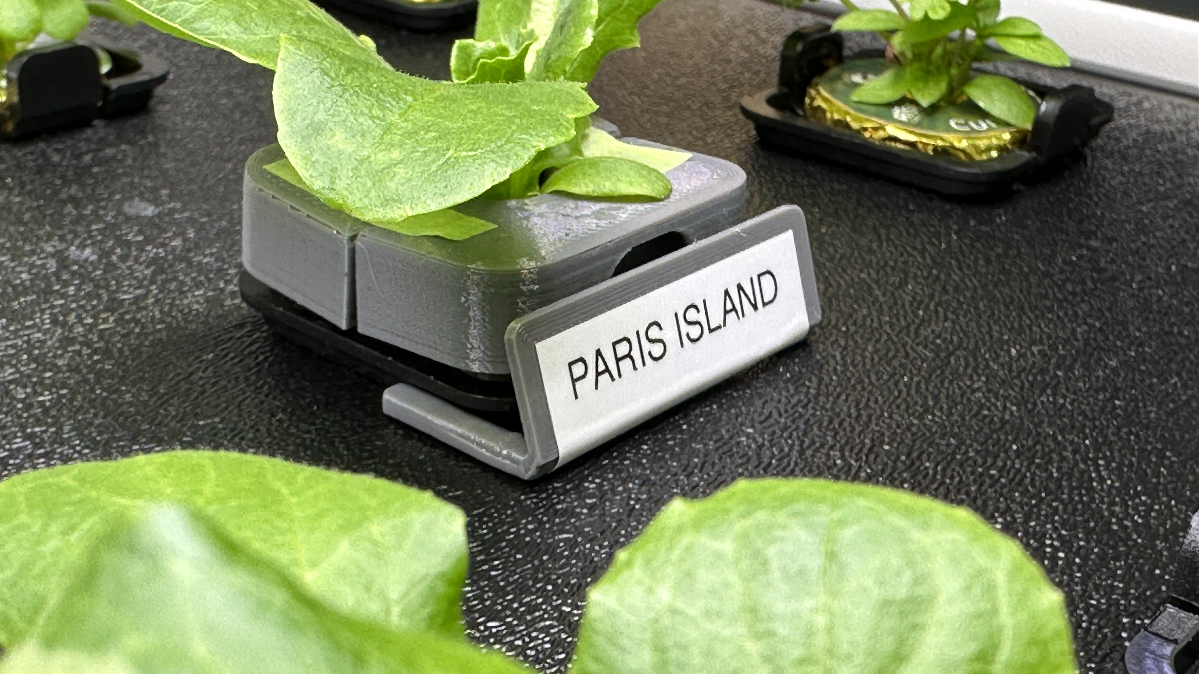 Rise Garden Pod Identification