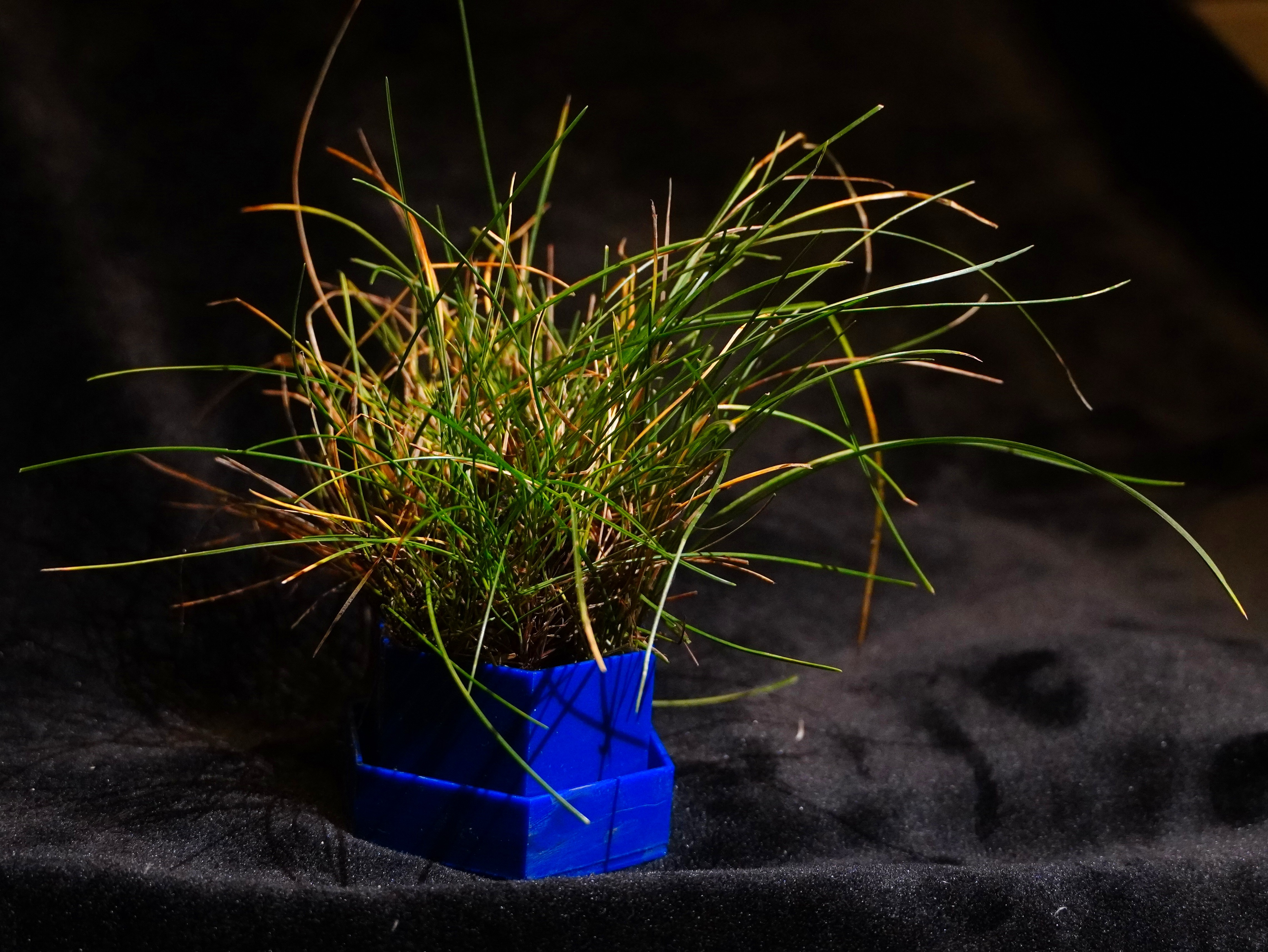 Touch grass vase