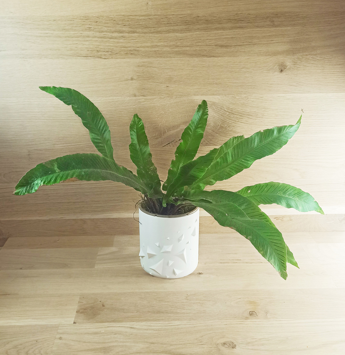 Miniatura 4 do modelo 3D Flower Pot - Pyramidal shards