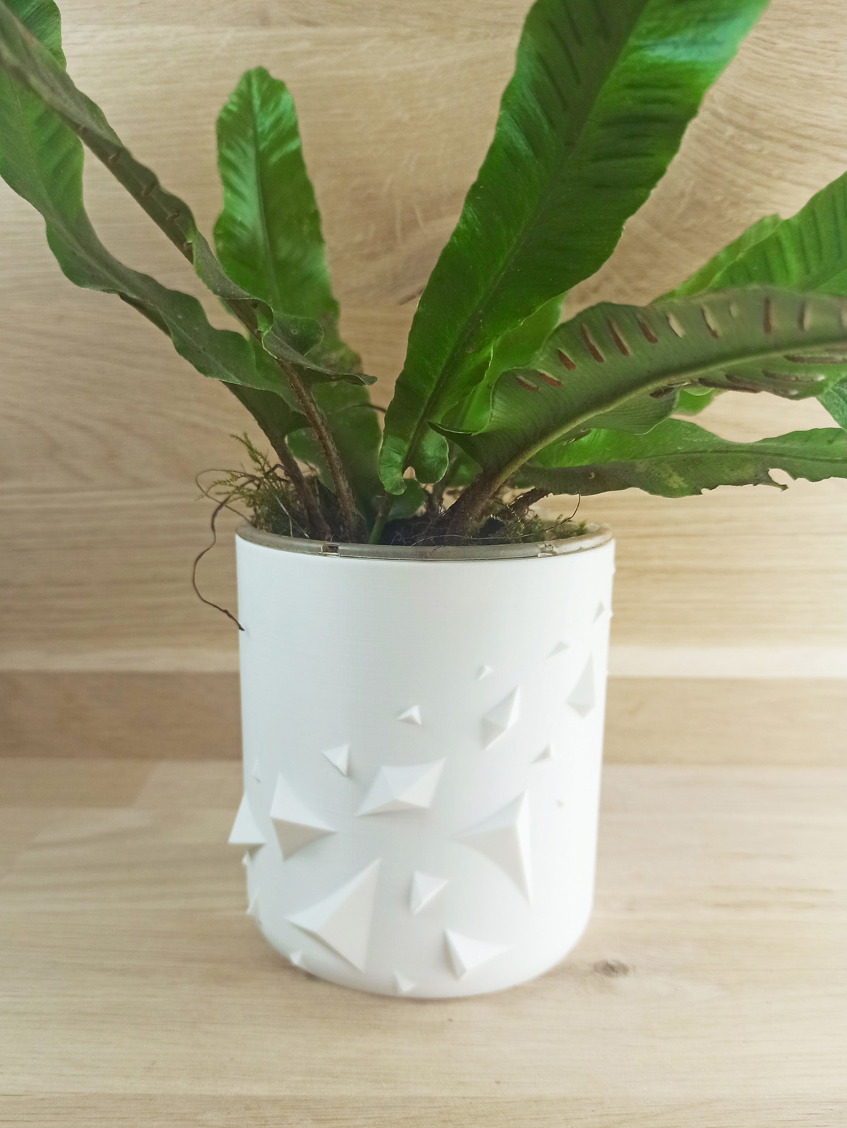 Miniatura 2 do modelo 3D Flower Pot - Pyramidal shards