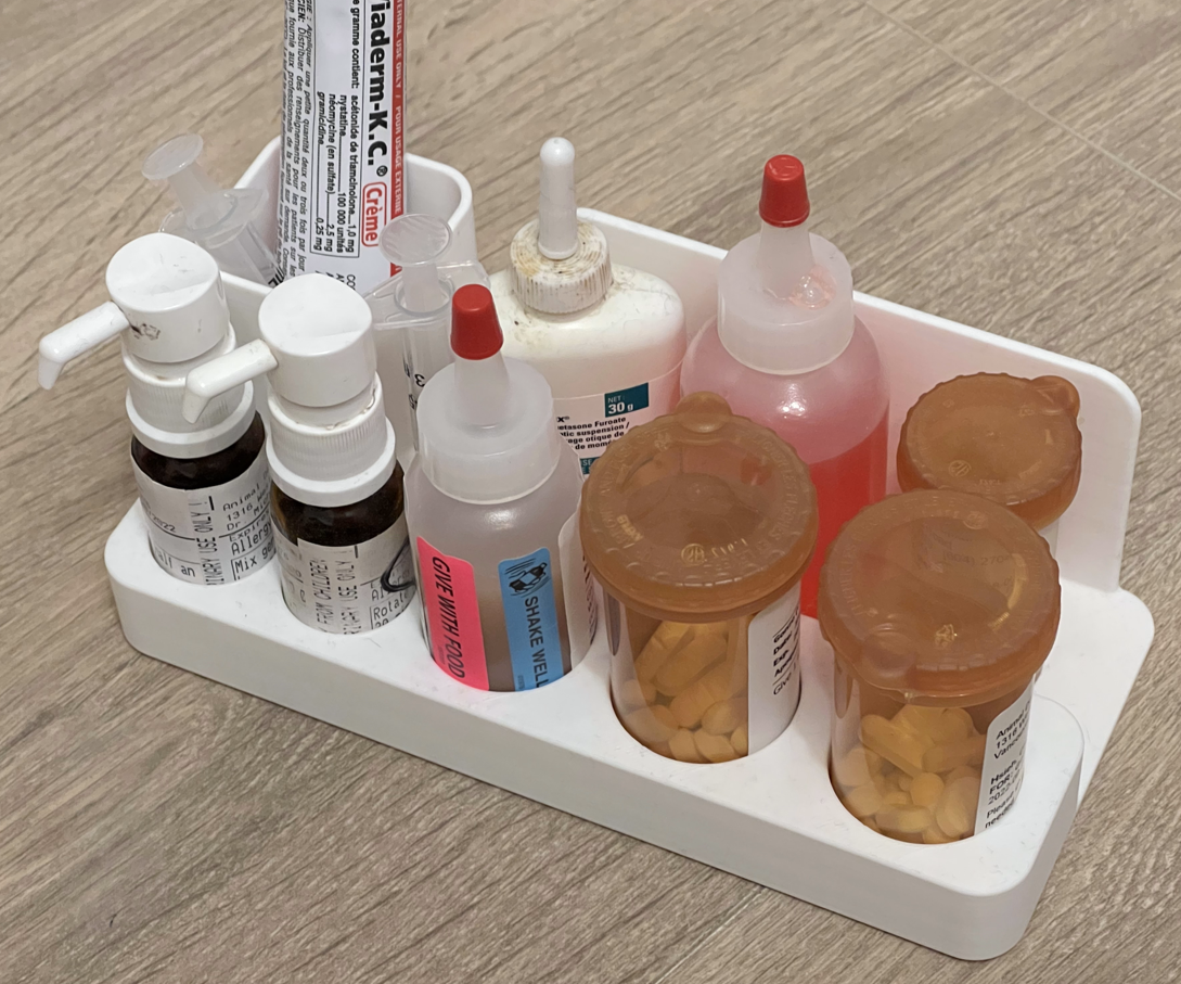 Prescription Pills Bottle Organizer by SolarEgg, Download free STL model