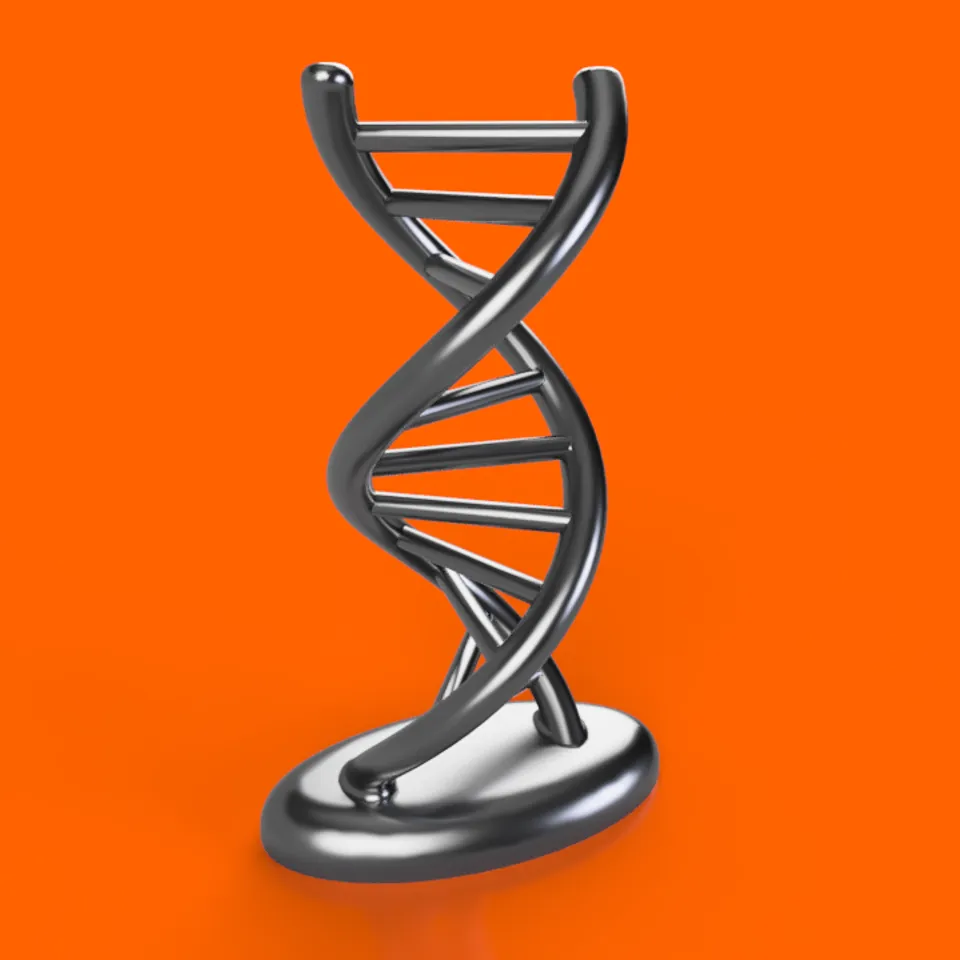 DNA Desk Ornament by Maximus Printus