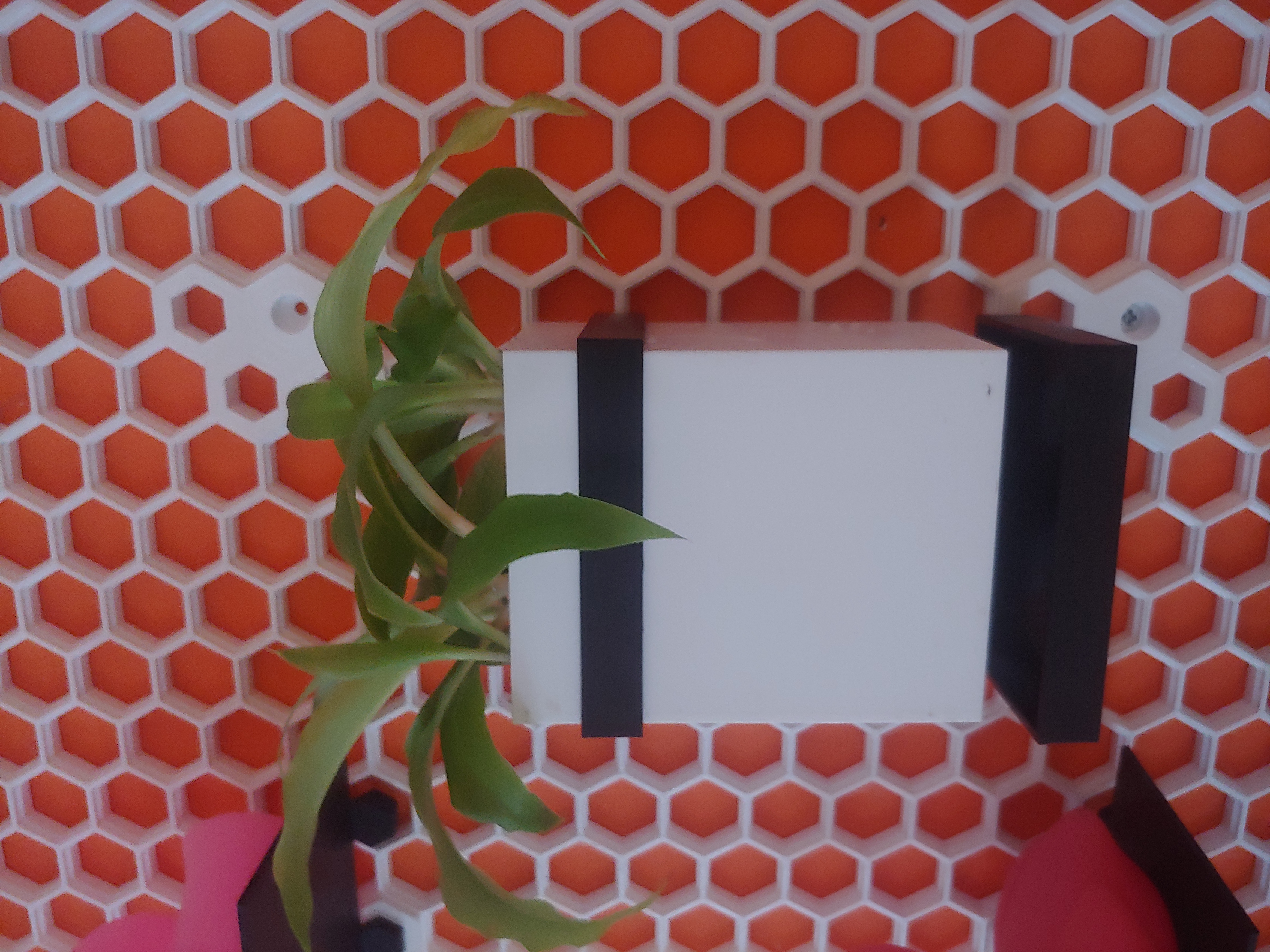 Planter/pot for honeycomb wall (HSW)