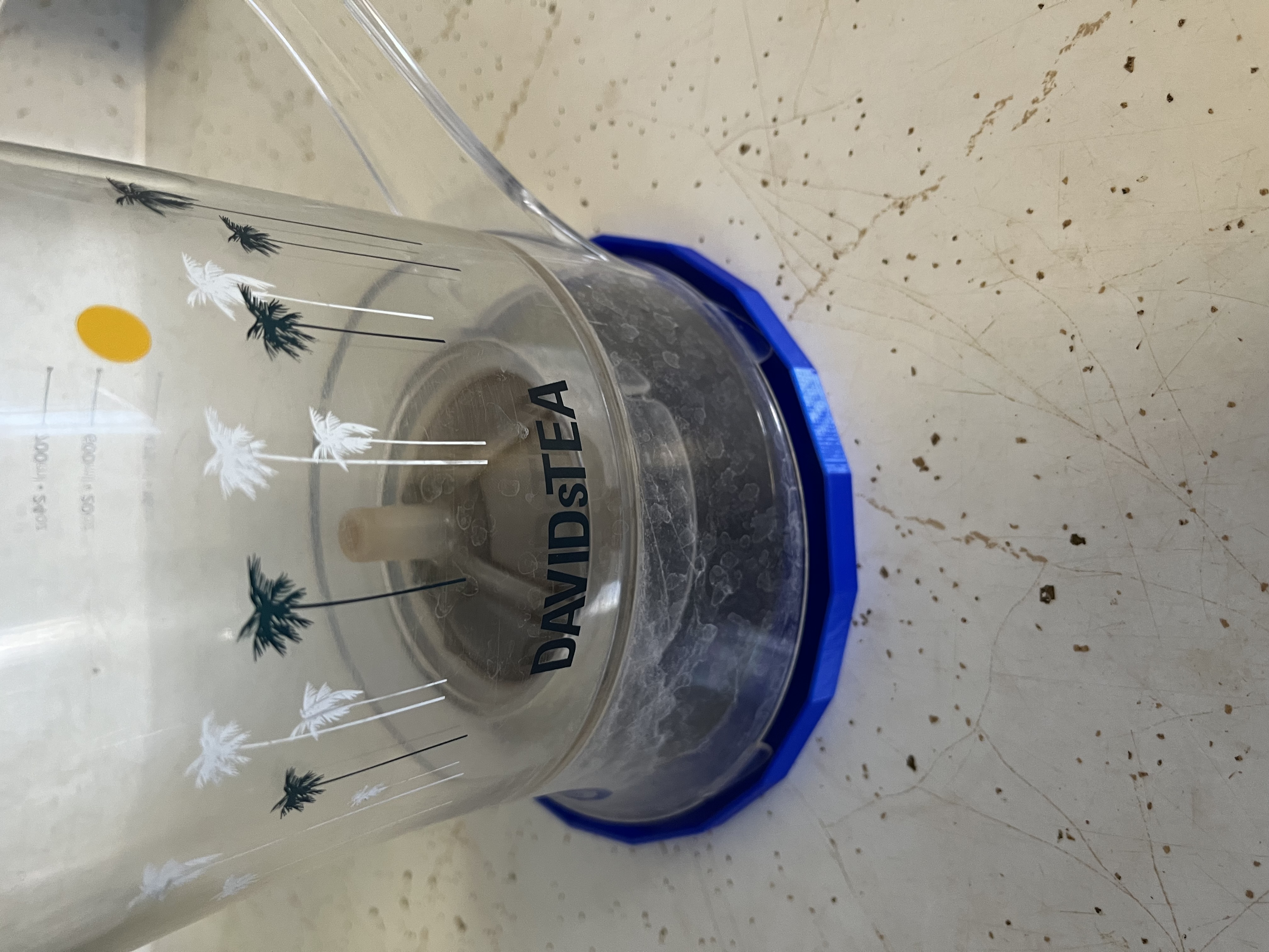 David's Tea Steeper Base