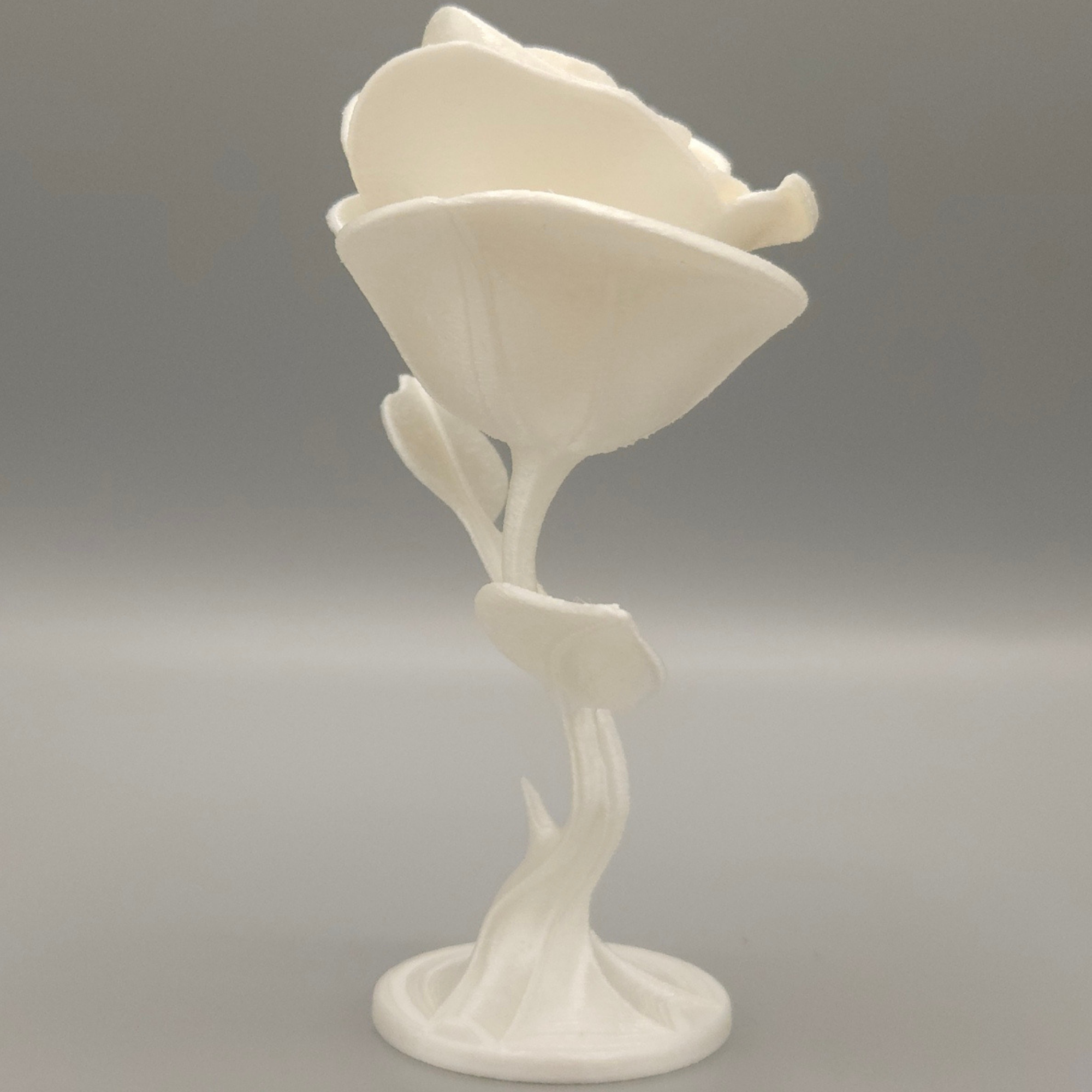 Miniatura 6 do modelo 3D Eternal Rose