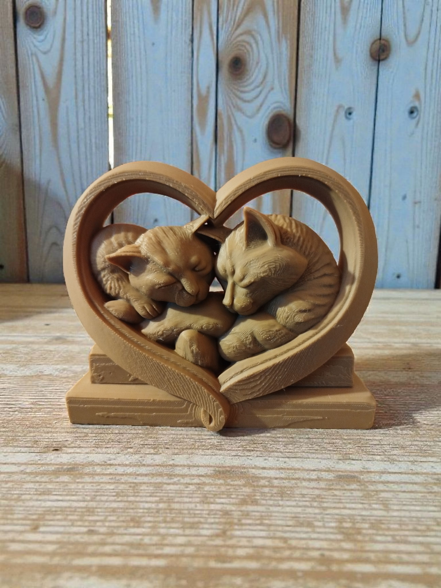 The heart of cats