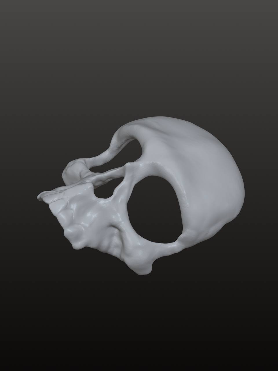 Human Skull Hair Clip