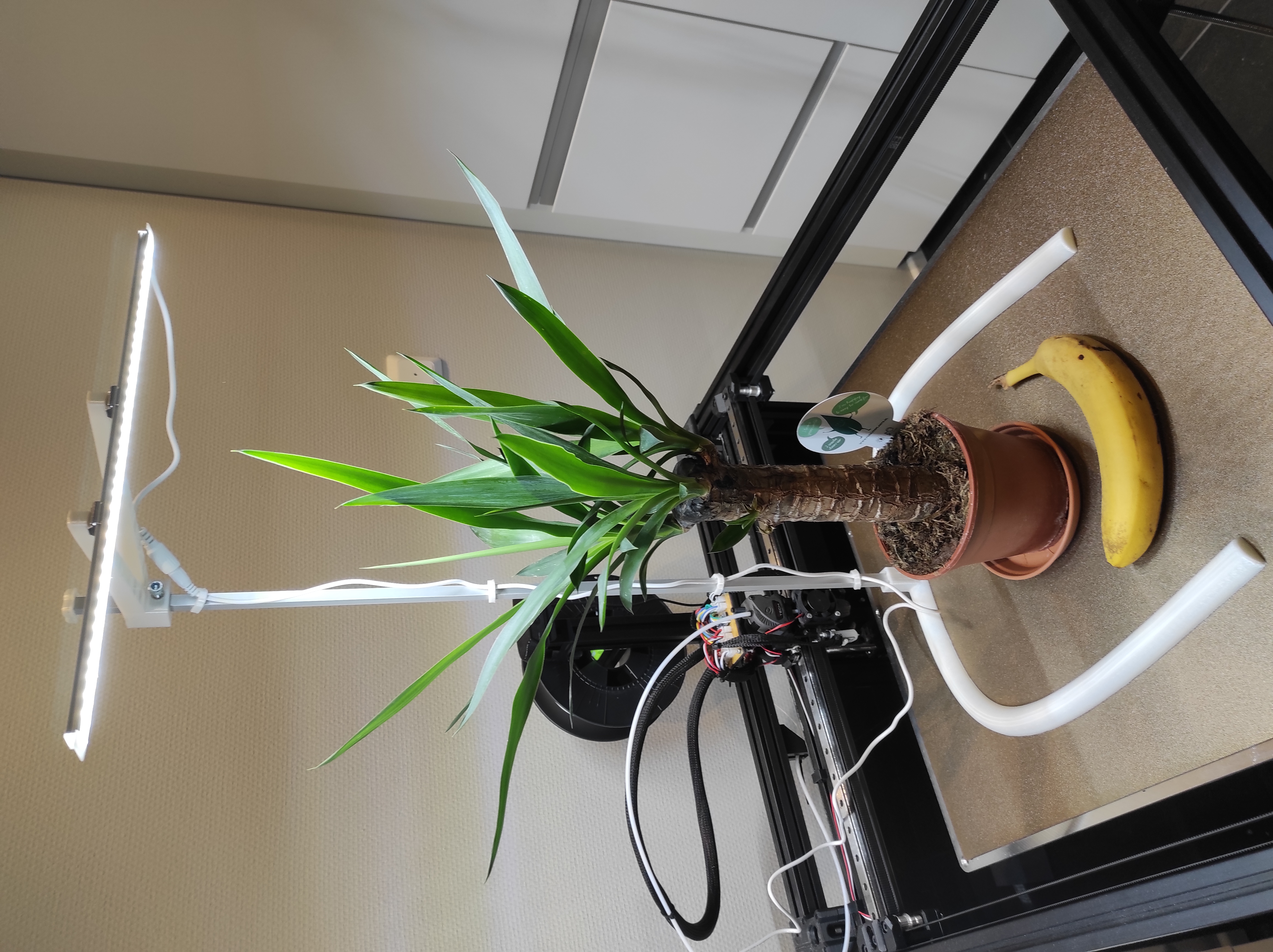 LED Grow Light