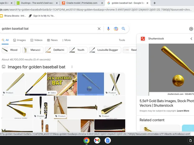 baseball bat