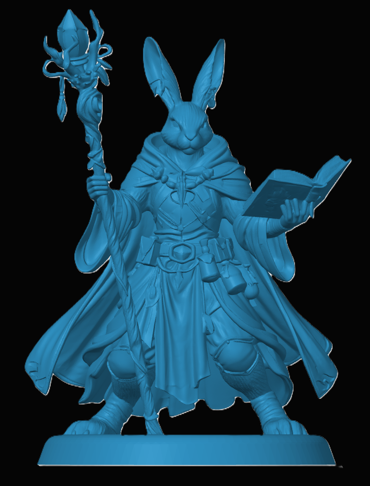 Harengon Wizard — thumbnail 3