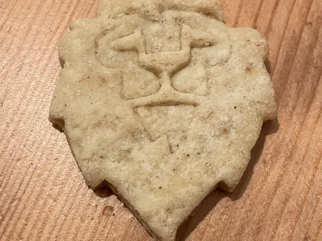 4★ Lion (president Pavel) Cookie Cutter