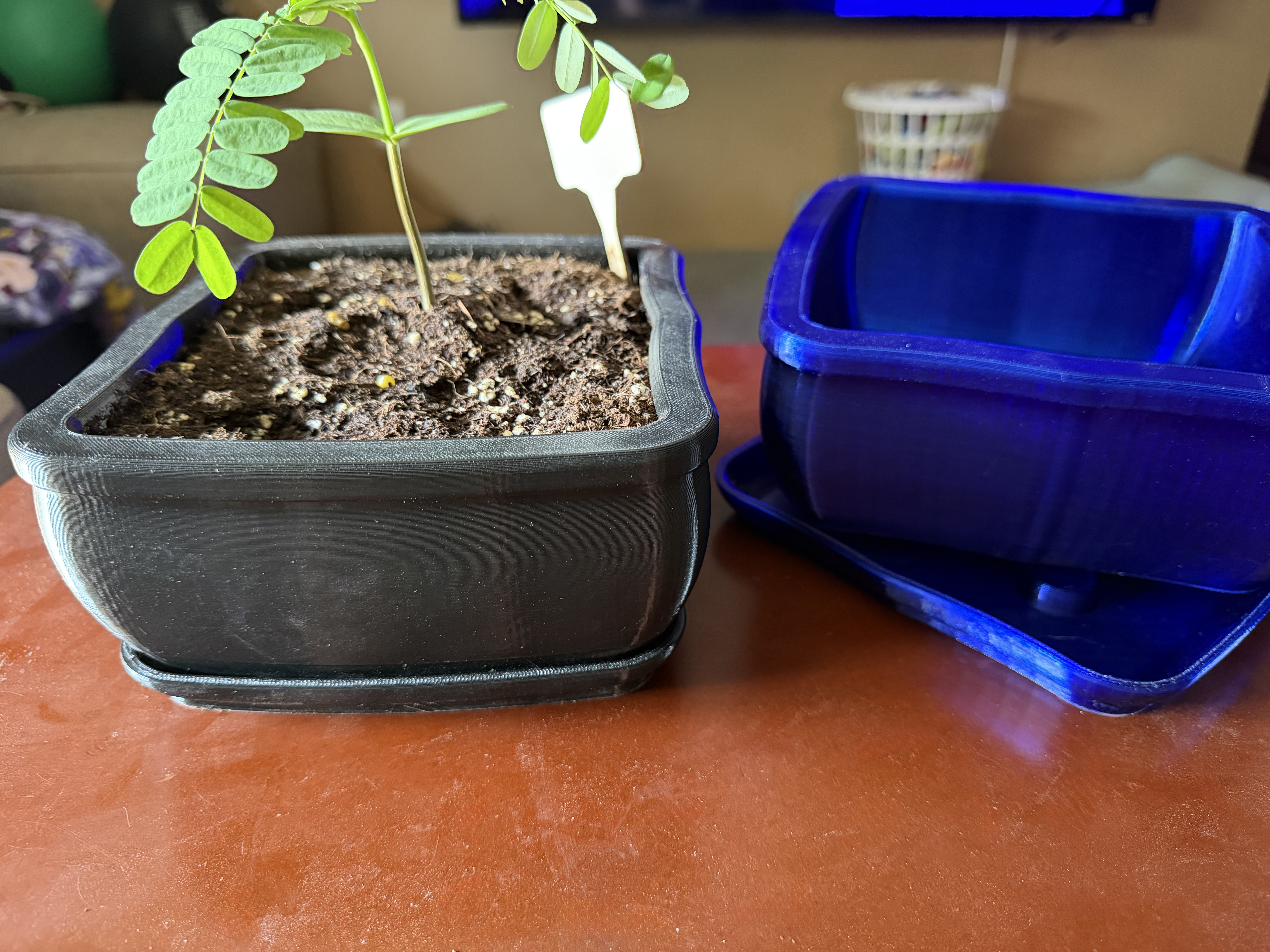 Bonsai Pot with Drain Tray