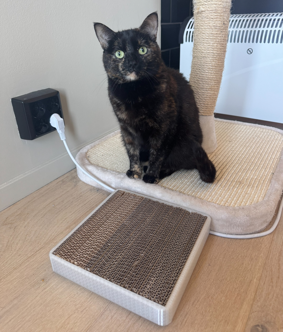 Cardboard Cat Scratcher Frame