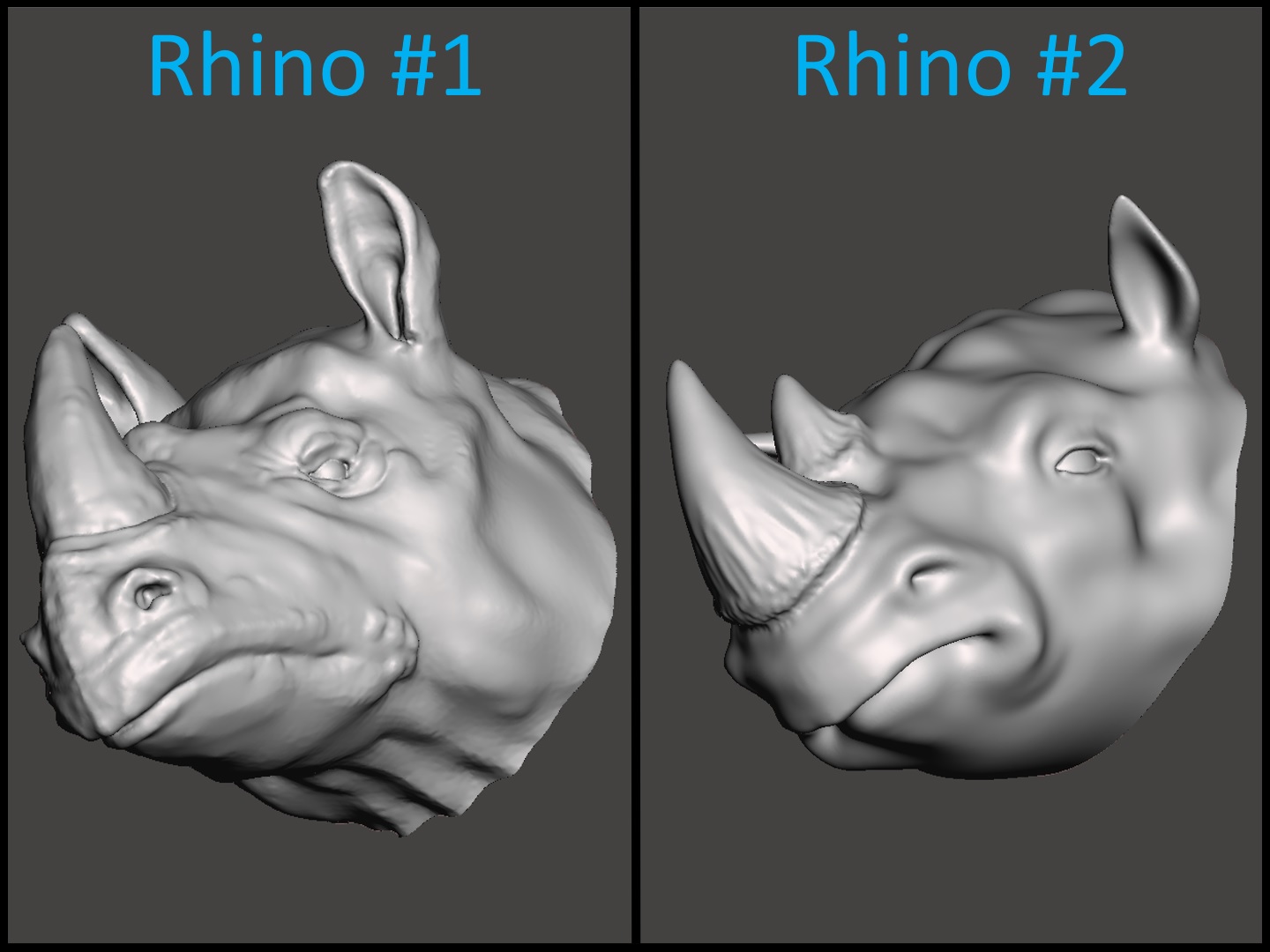 Miniatura 4 do modelo 3D Rhino x2