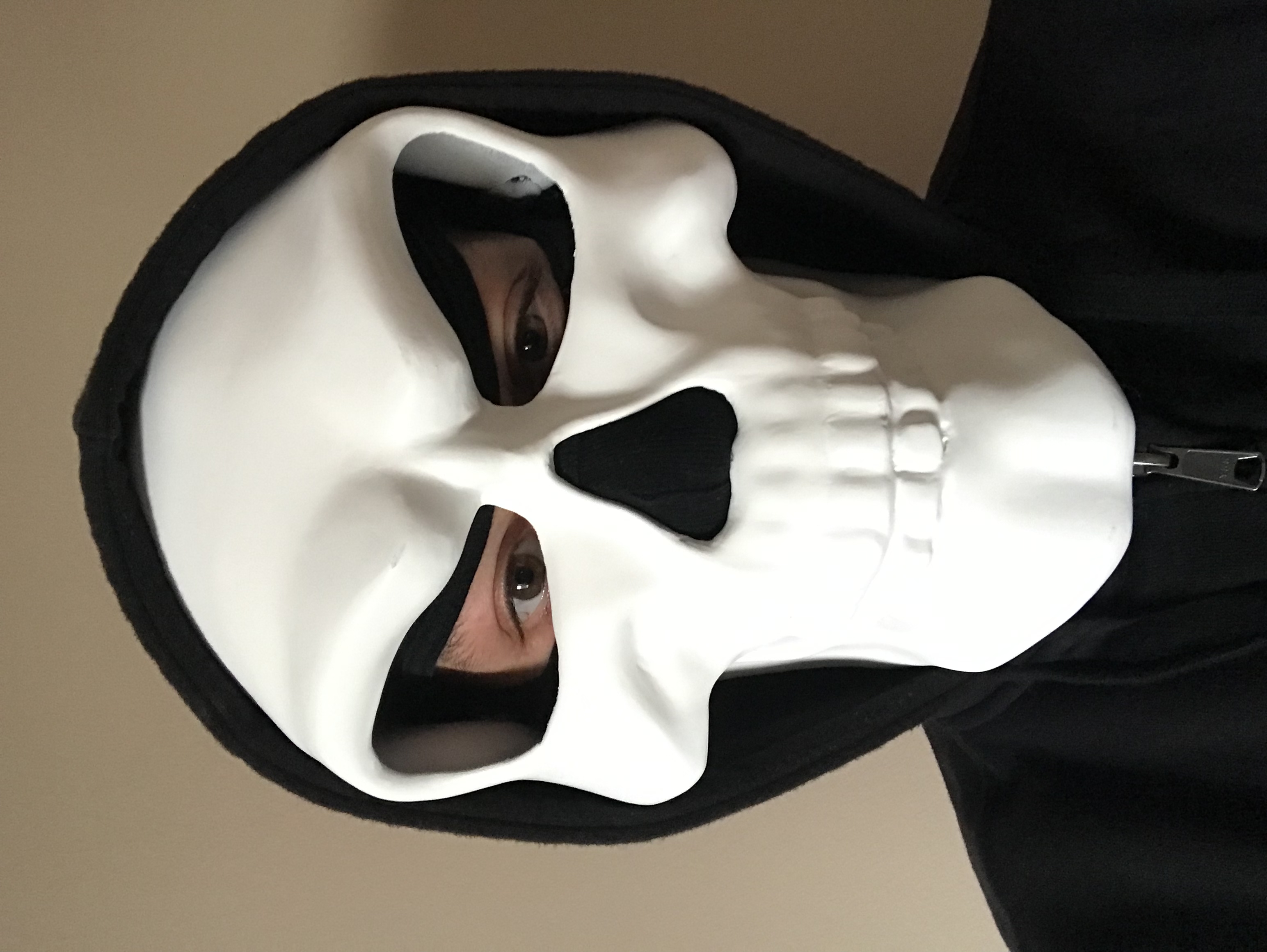 Skeletor mask