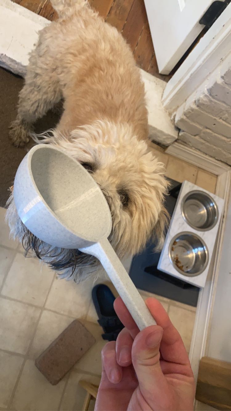 Dog Food Scoop