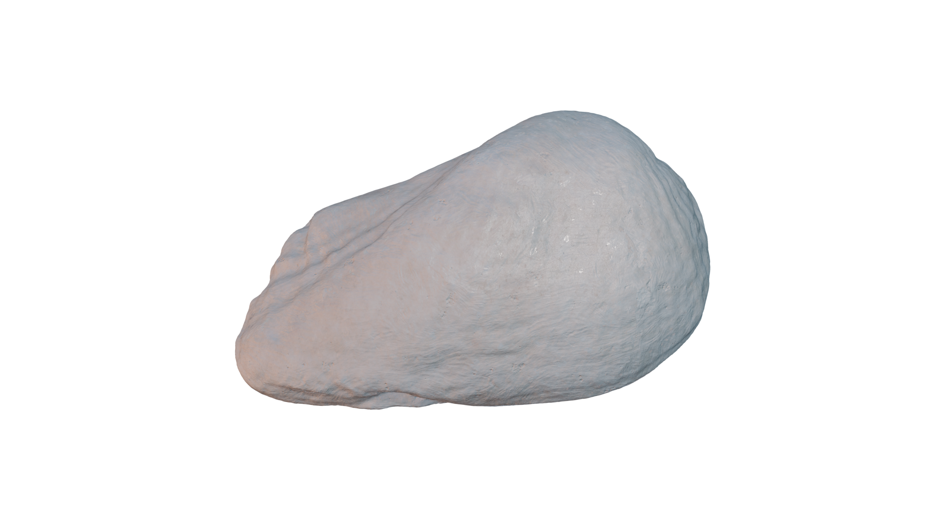 Seashell 3d Scan — thumbnail 3