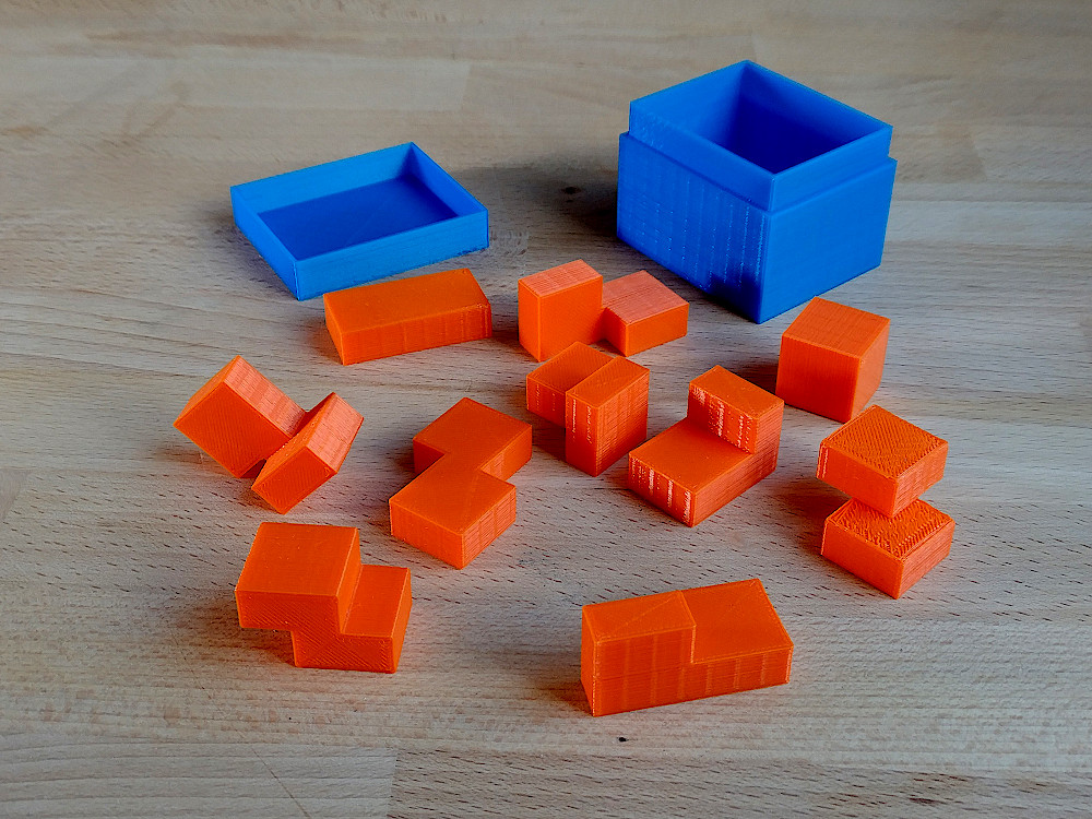 Gemini Puzzle