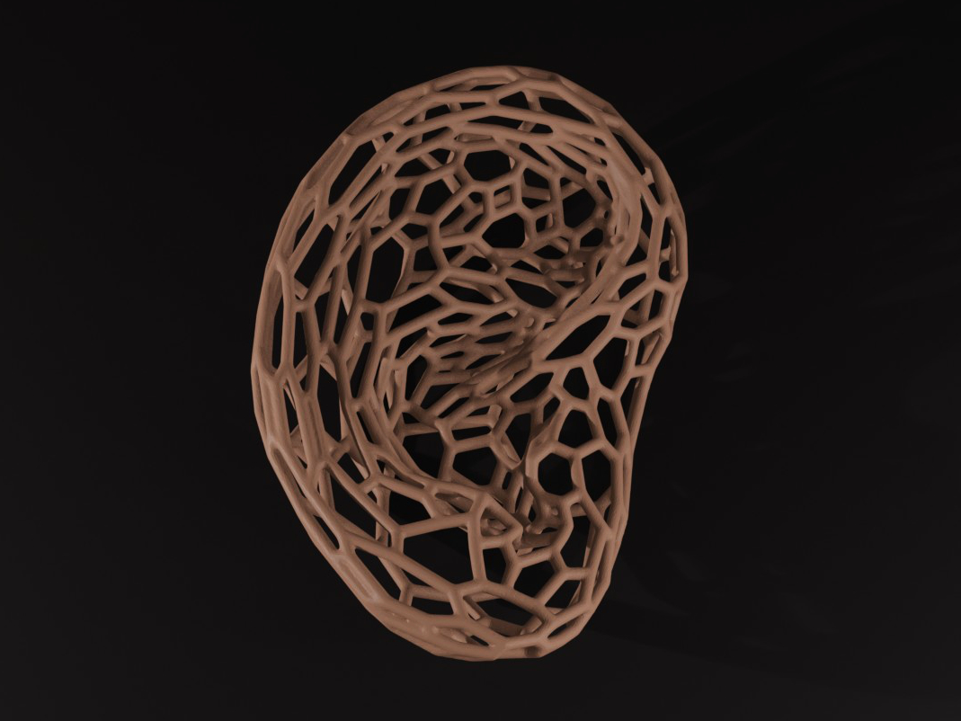 Ear Voronoi