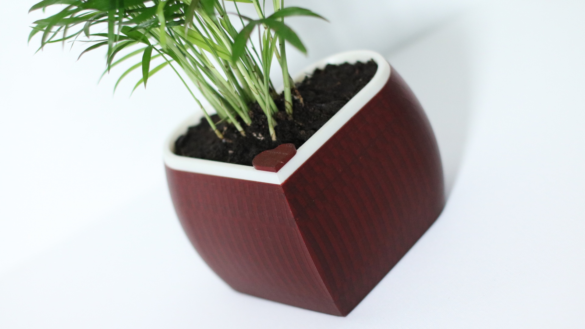 Self Watering Heart Planter