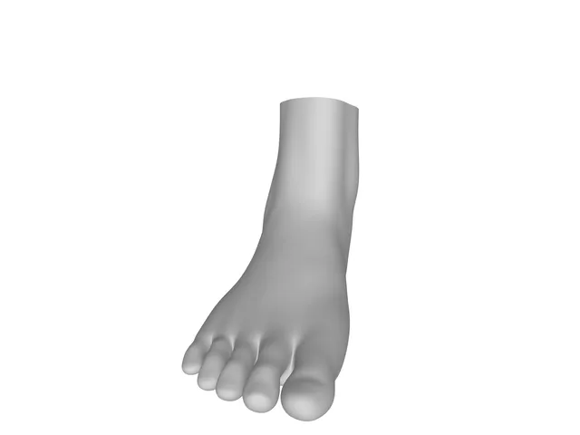 Human Foot — Realistic Anatomical Sculpt