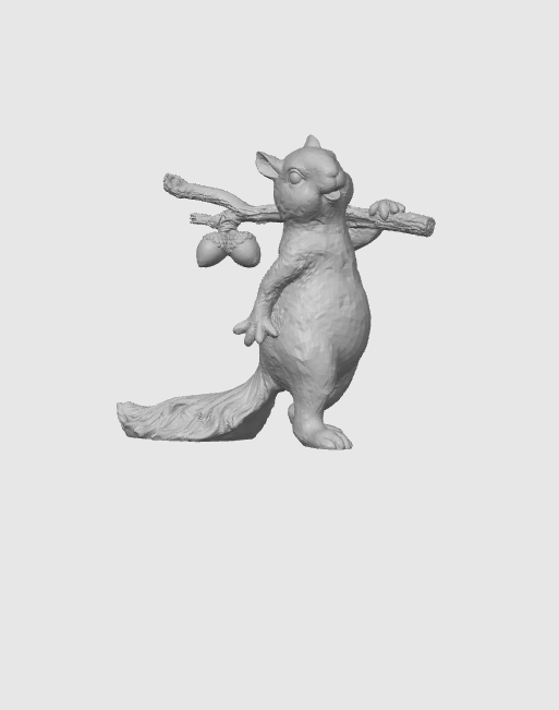 squirrel