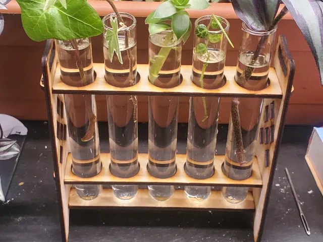 Laser cut plant propogation station test tube holder