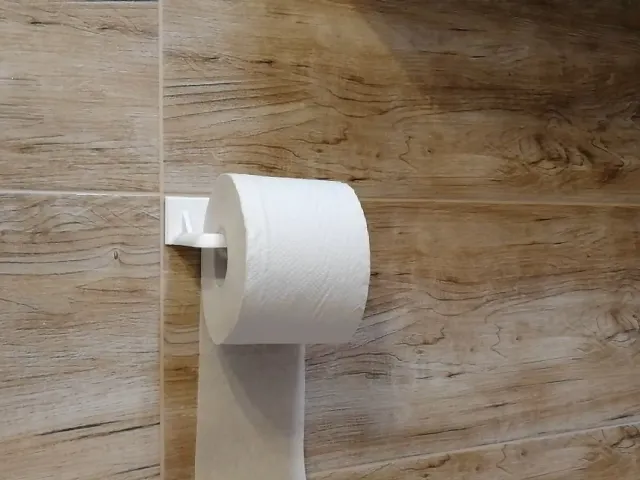 Toilet paper holder for long rolls