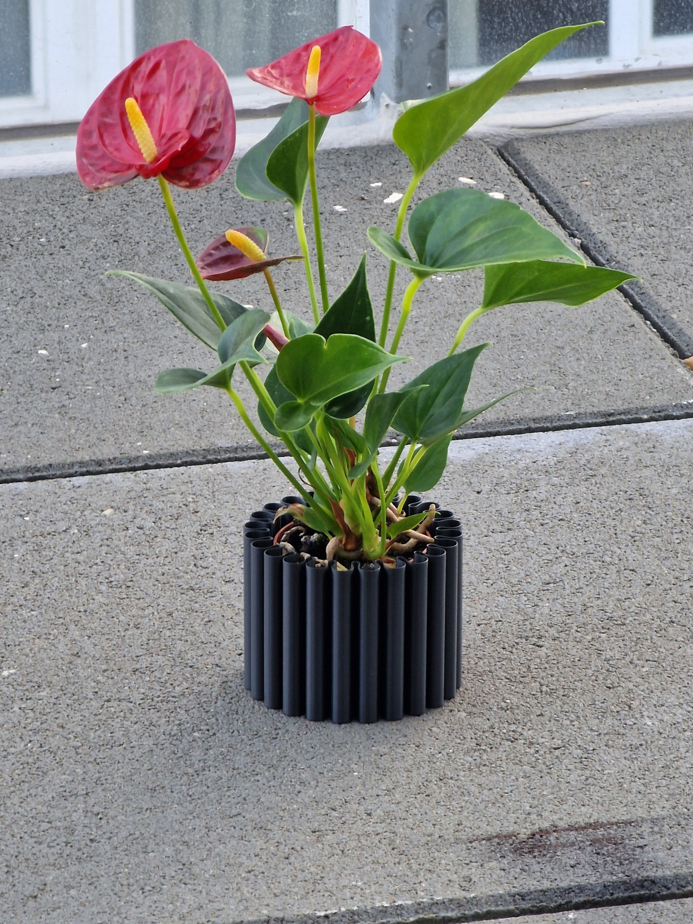 Modern Wriggly Vasemode Vase