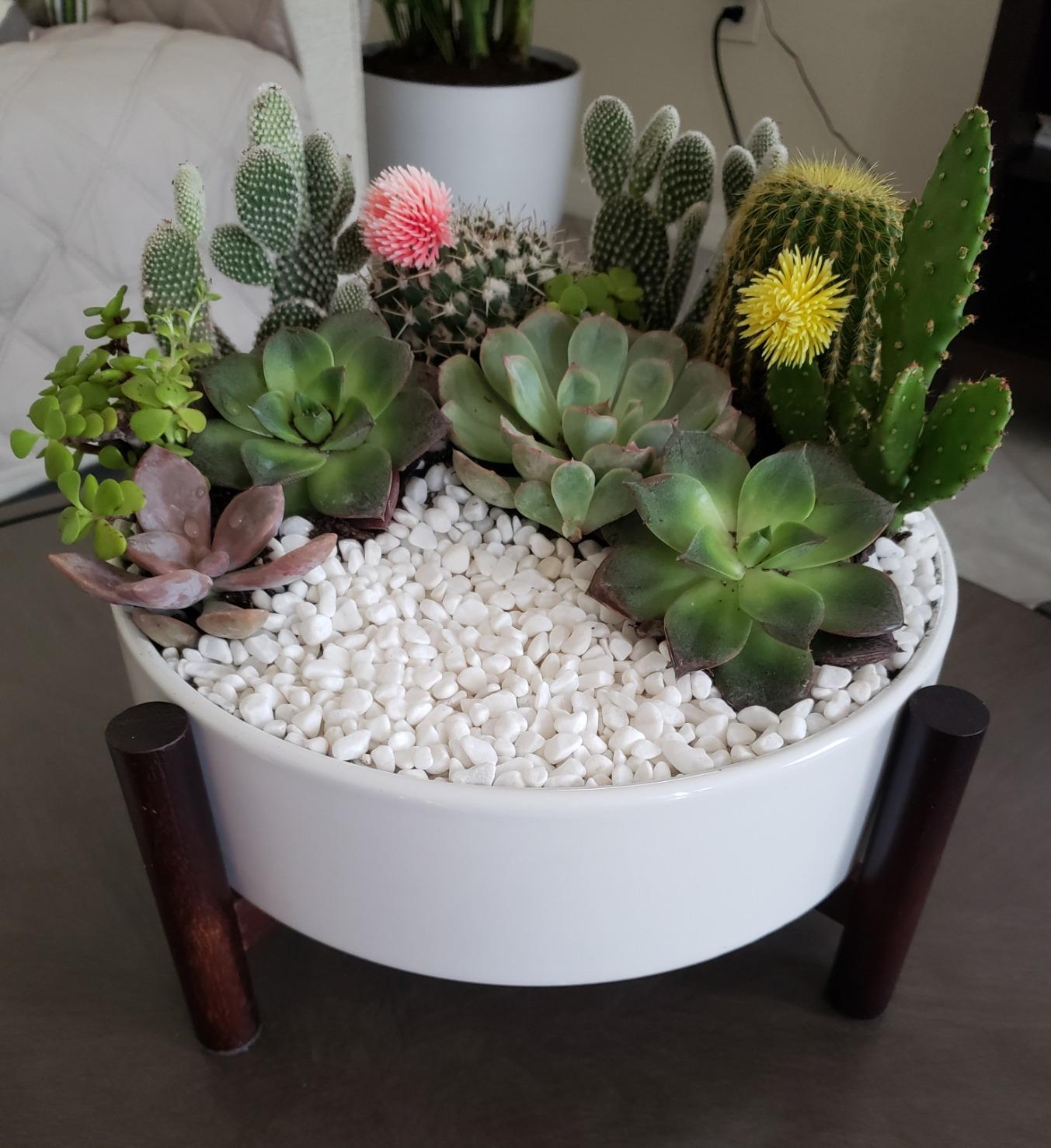 Planter 18 - Lift Me Up, Shallow, with holder