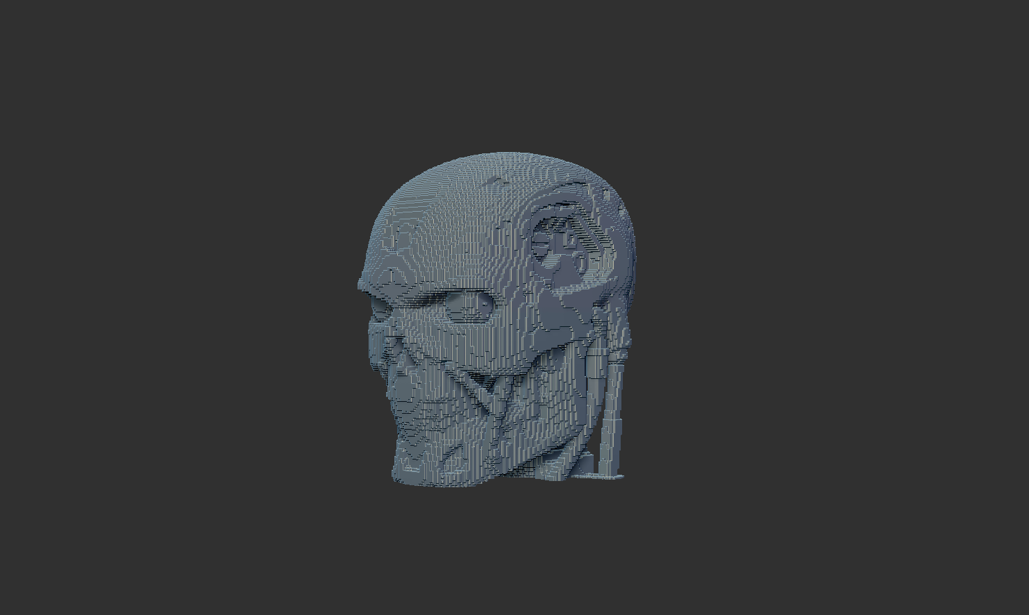 Pixel T-800