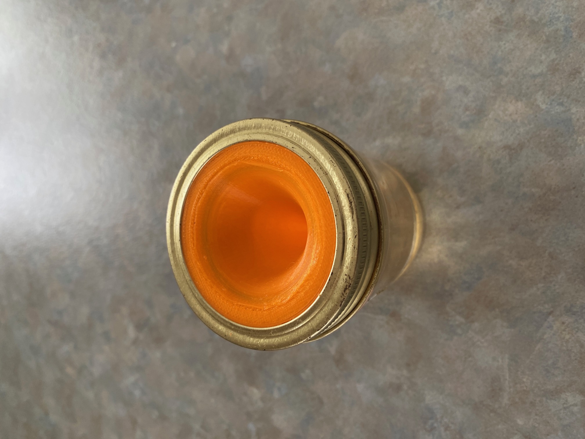 Fruit Fly Trap by Pennypacker | Download free STL model | Printables.com