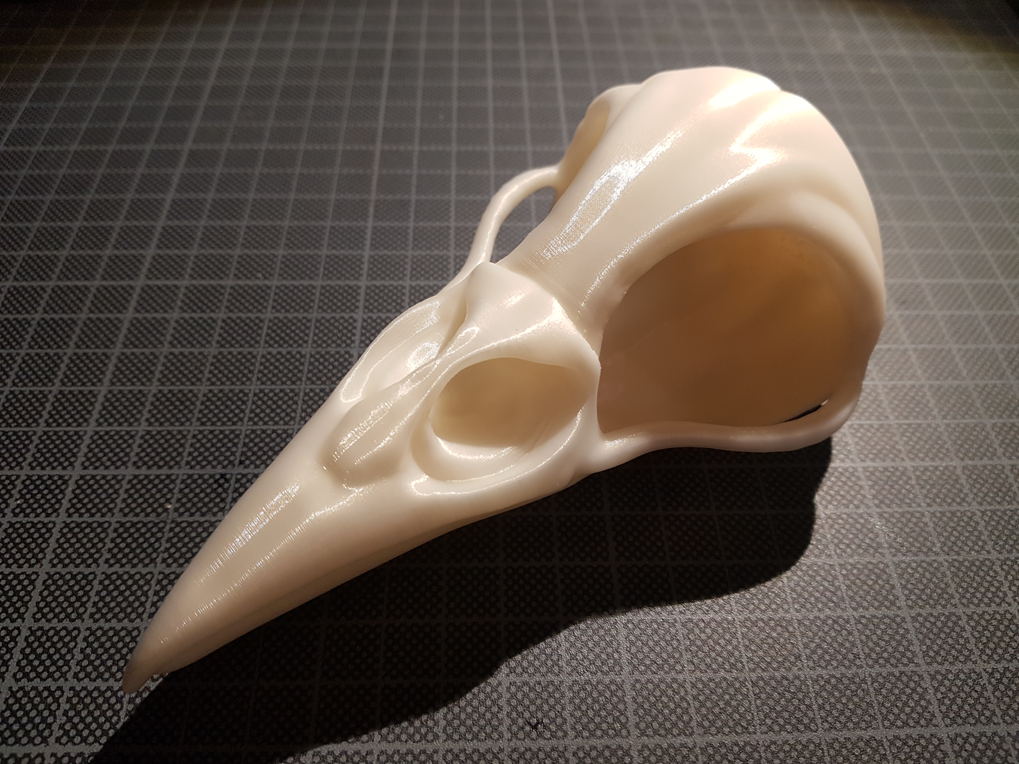 Raven Skull