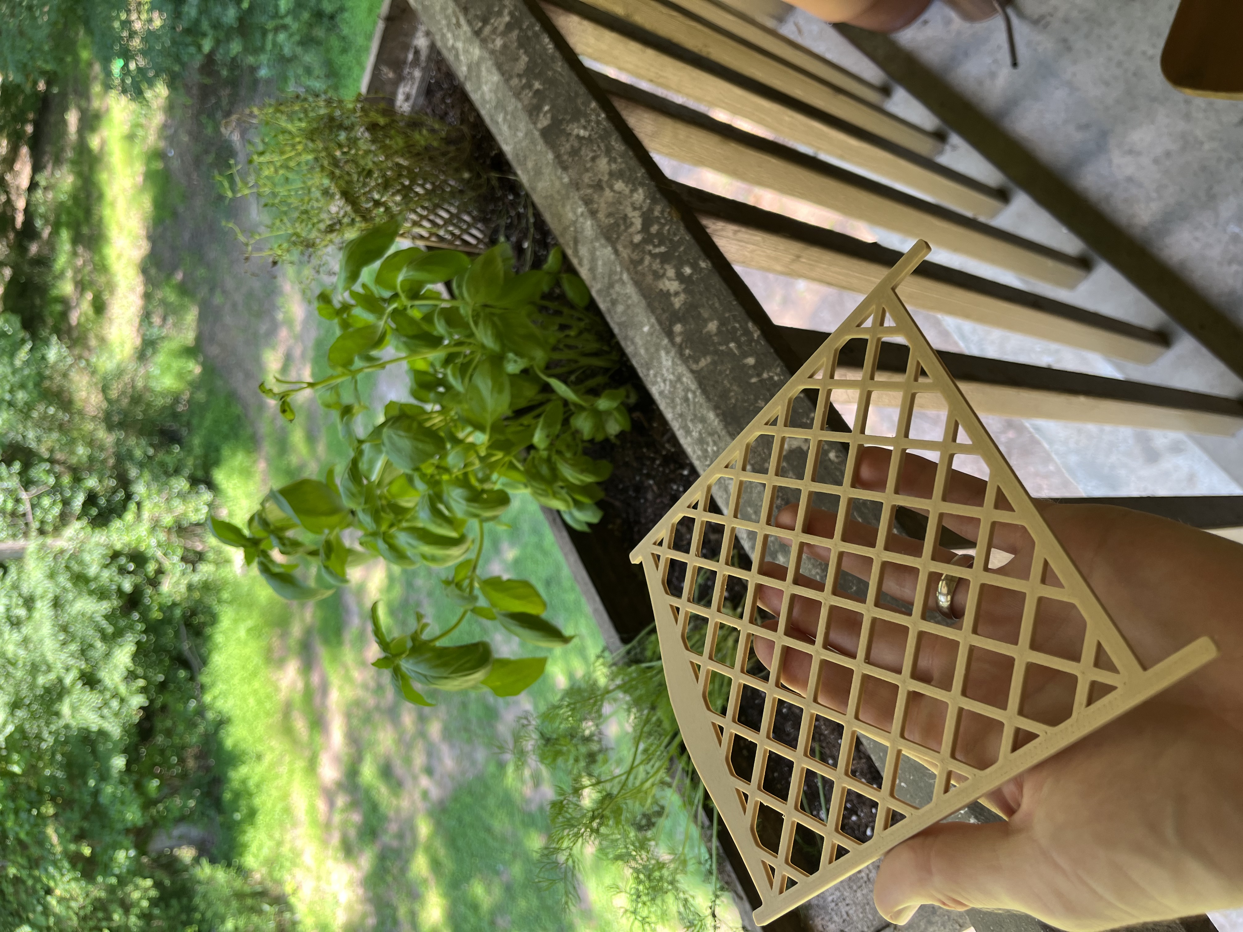 Miniature Lattice for Plant Support