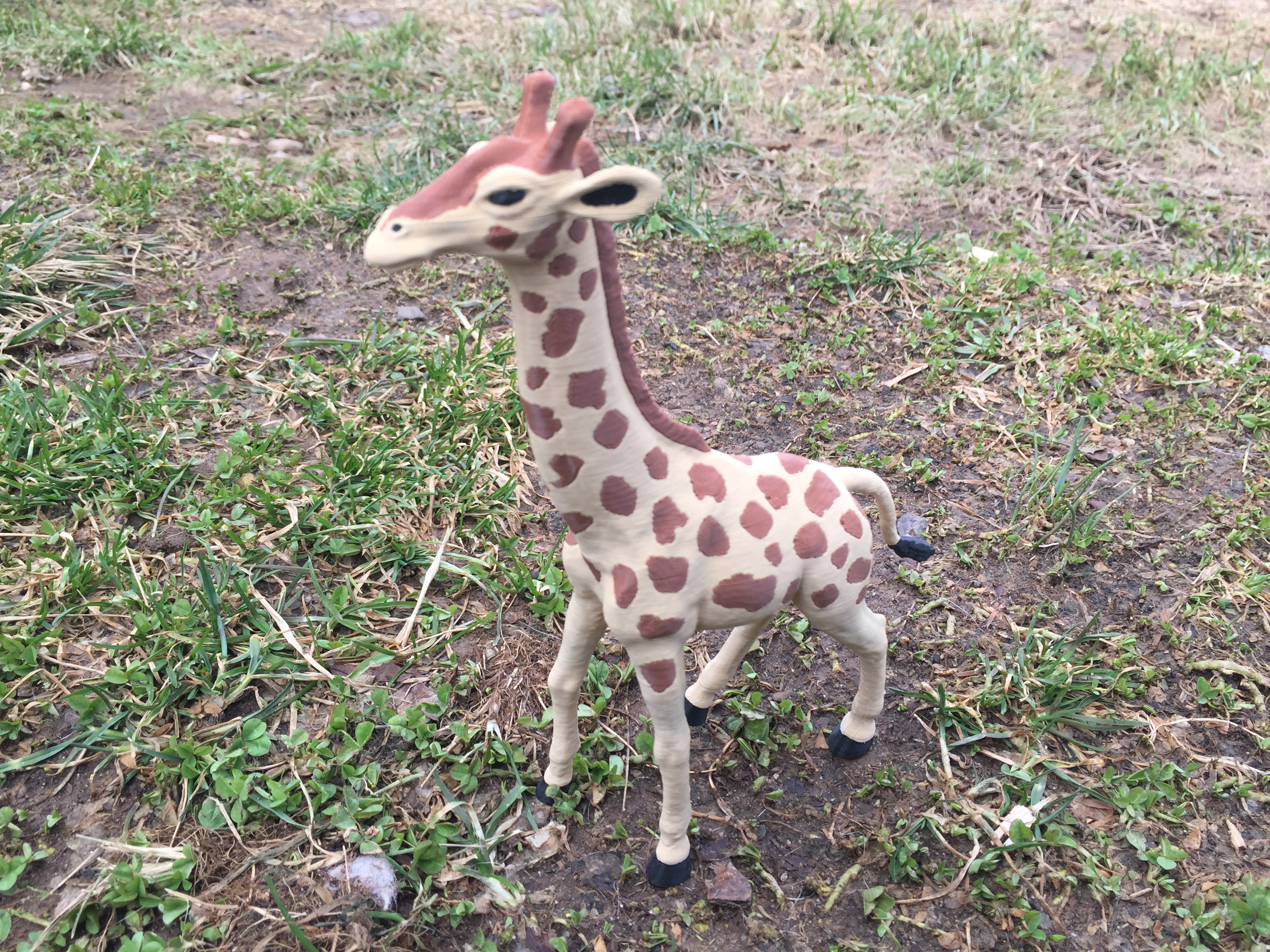 Miniatura 8 do modelo 3D Giraffe